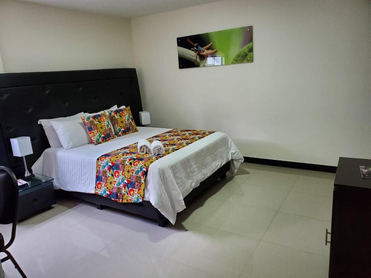 Hotel Cafeira Pereira Kültér fotó